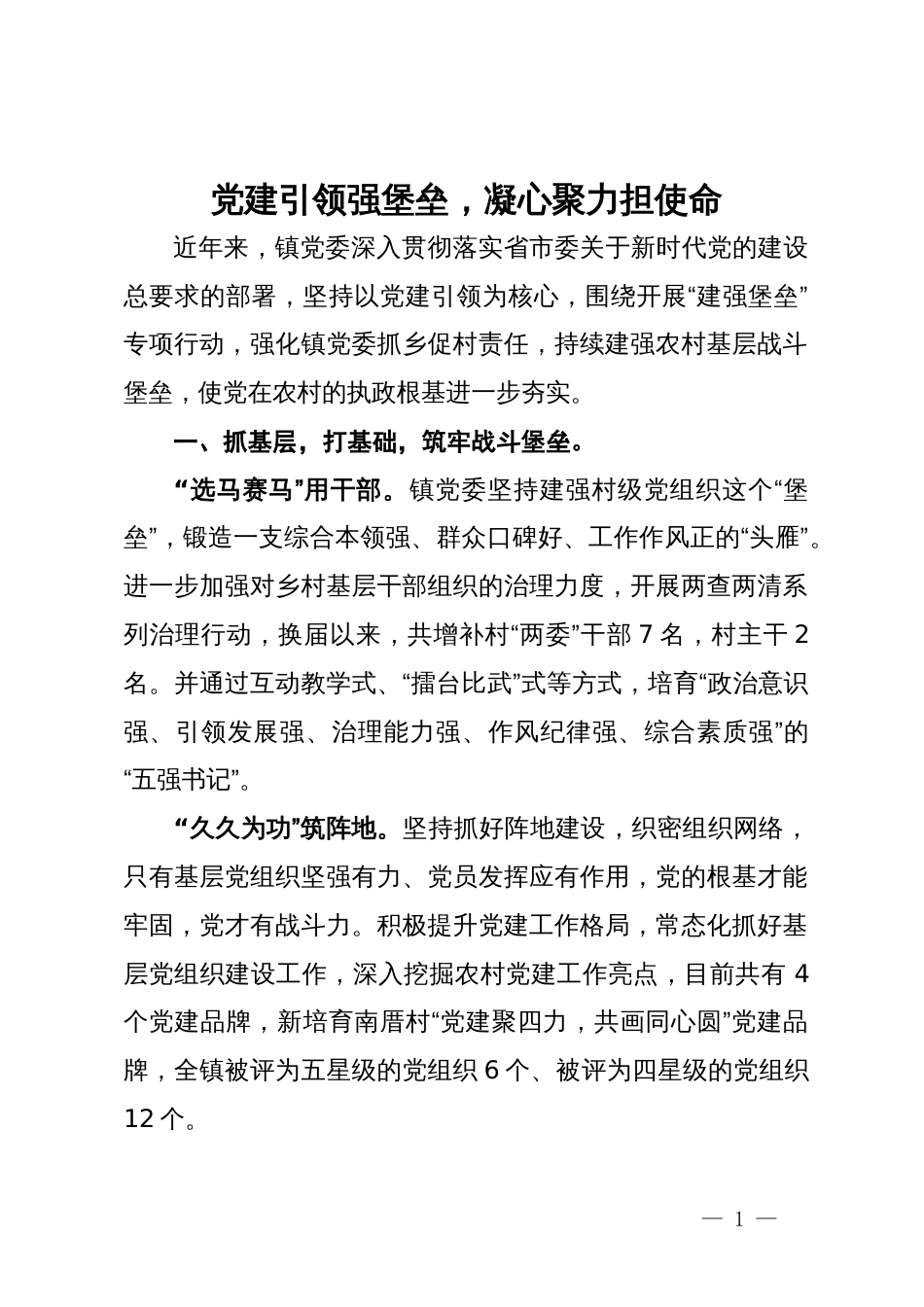 经验做法：党建引领强堡垒，凝心聚力担使命_第1页