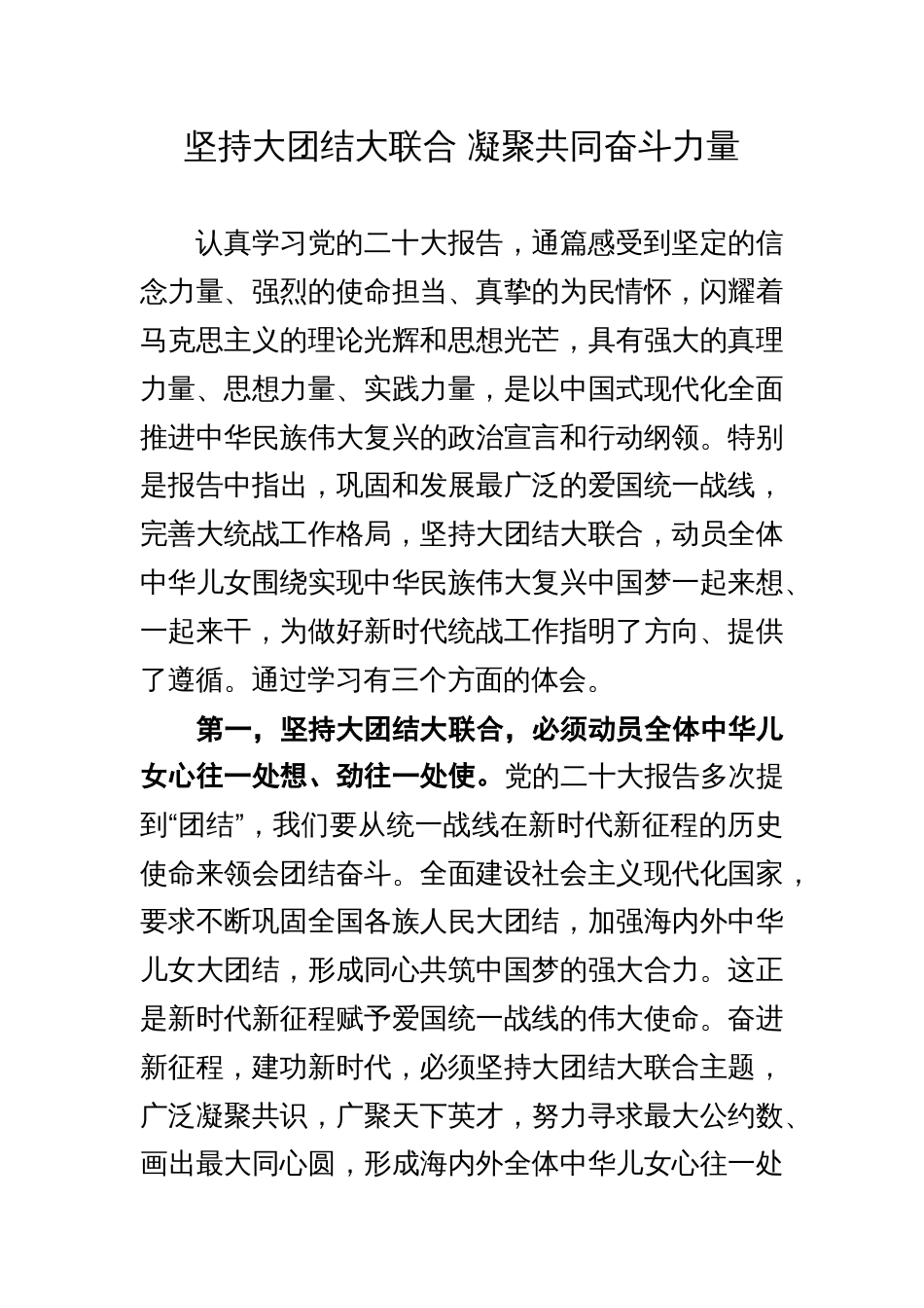 学习研讨：坚持大团结大联合 凝聚共同奋斗力量_第1页