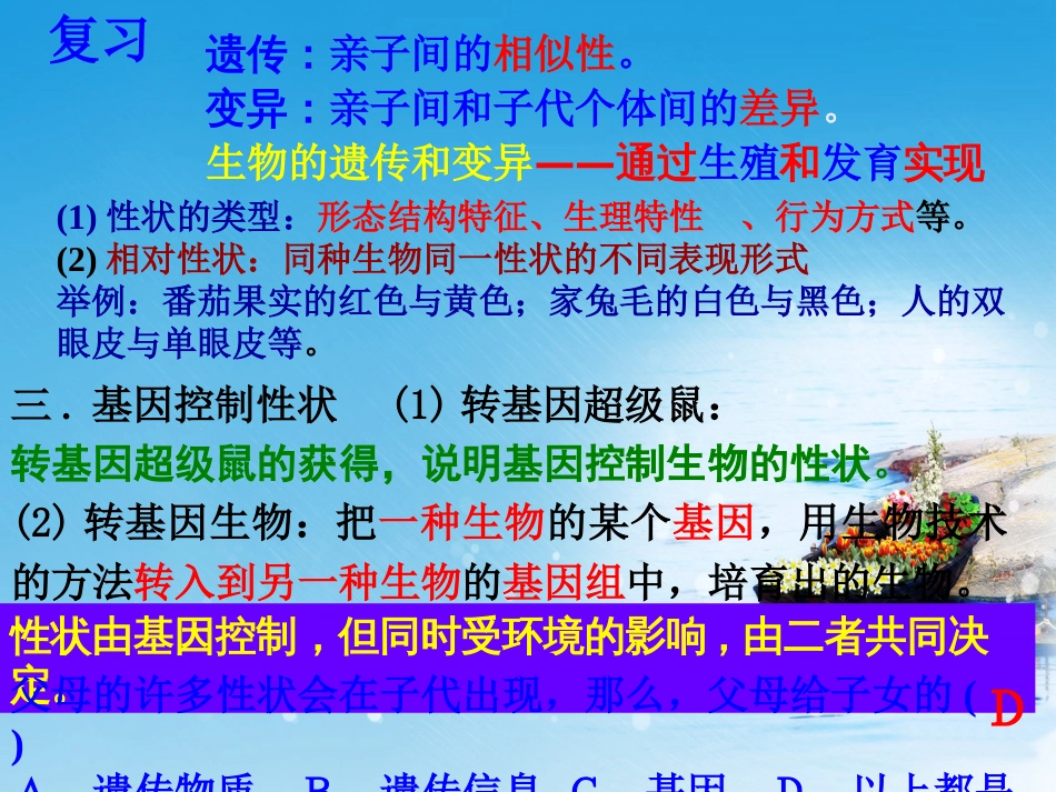 新人教版八年级生物下册第二章第二节基因在亲子代间的传递课件_第3页