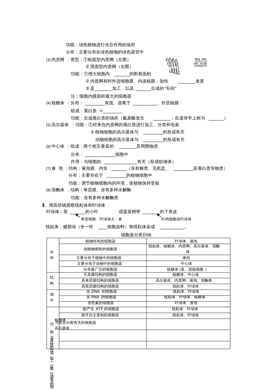 学案7细胞器[共5页]_第2页