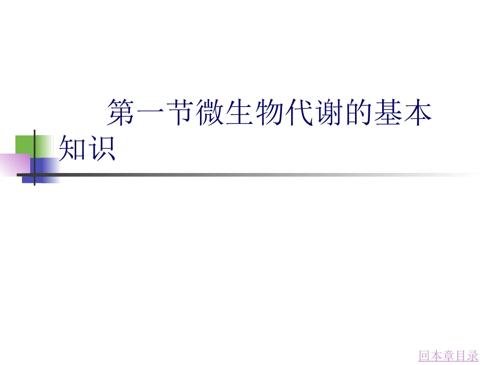 最新第六章微生物的代谢PPT精品文档精选文档_第3页