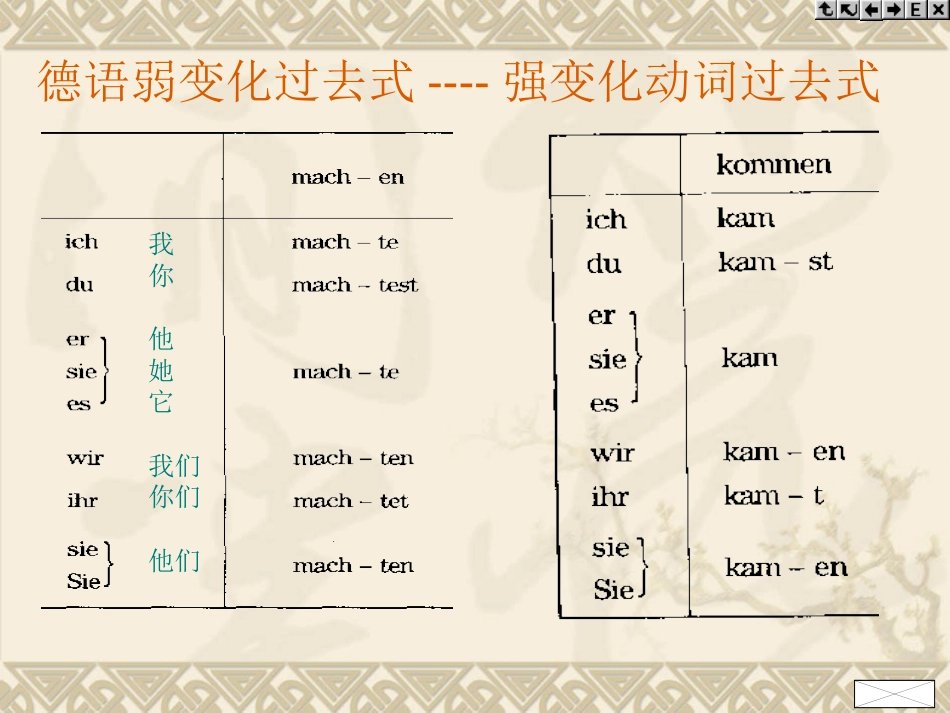 语言的结构类型和普遍特征讲解_第3页