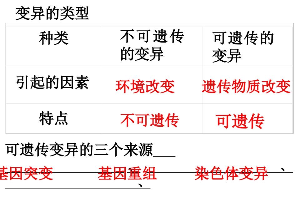 一轮复习基因突变和基因重组公开课[共37页]_第2页