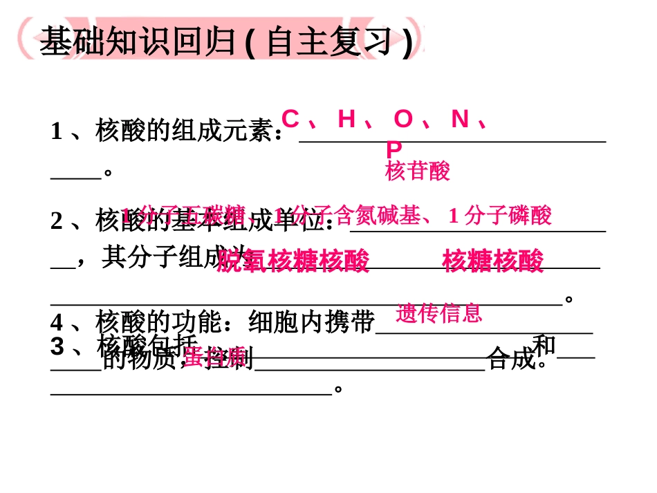 一轮复习遗传信息的携带者——核酸[共20页]_第3页