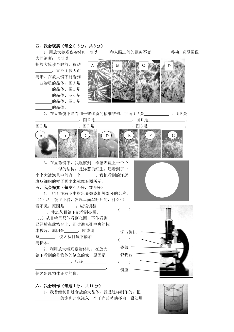小学六年级科学下册第一单元测试题[共5页]_第3页