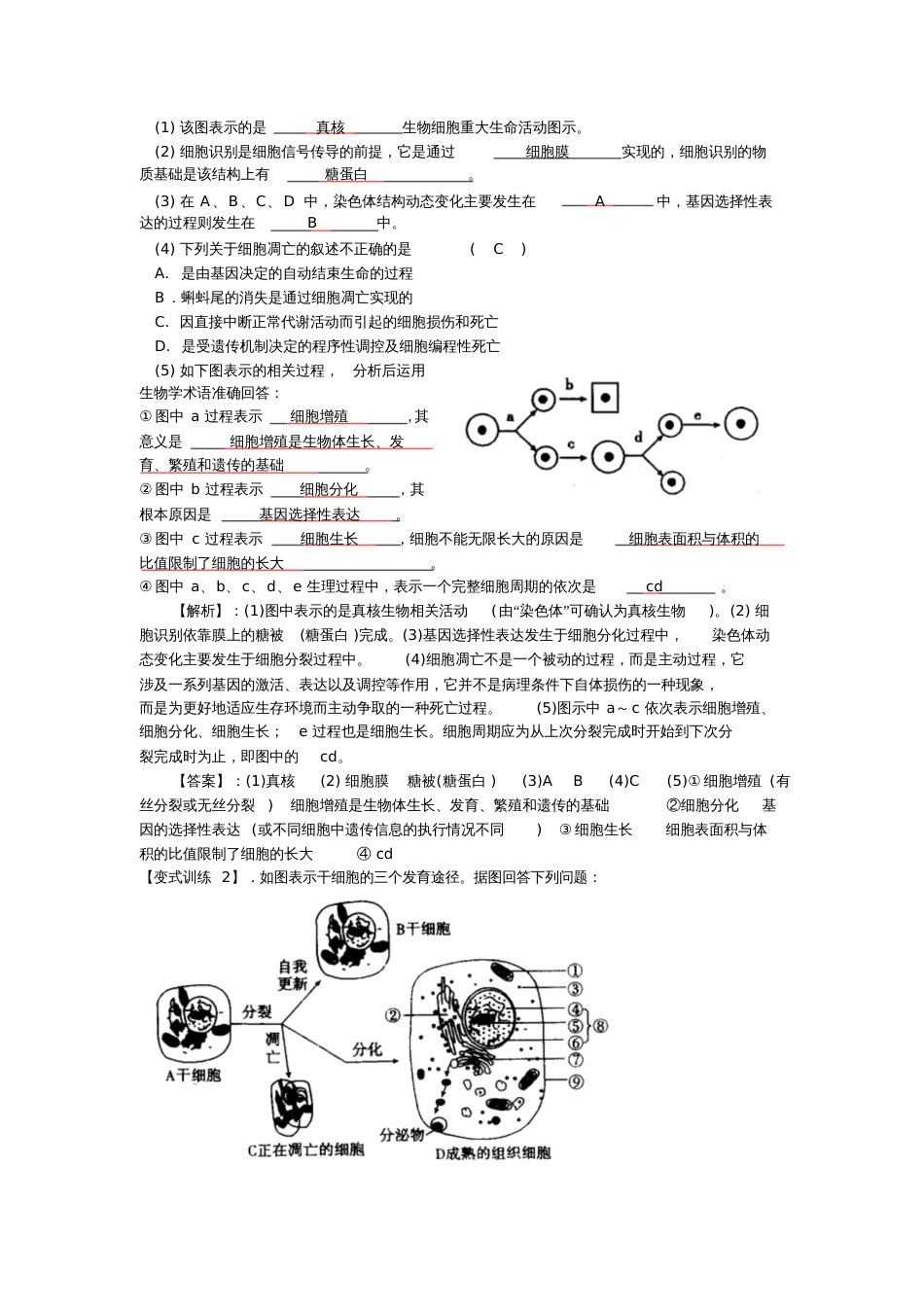 科学技术社会“脱缰之马”——癌细胞20200721104325_第3页