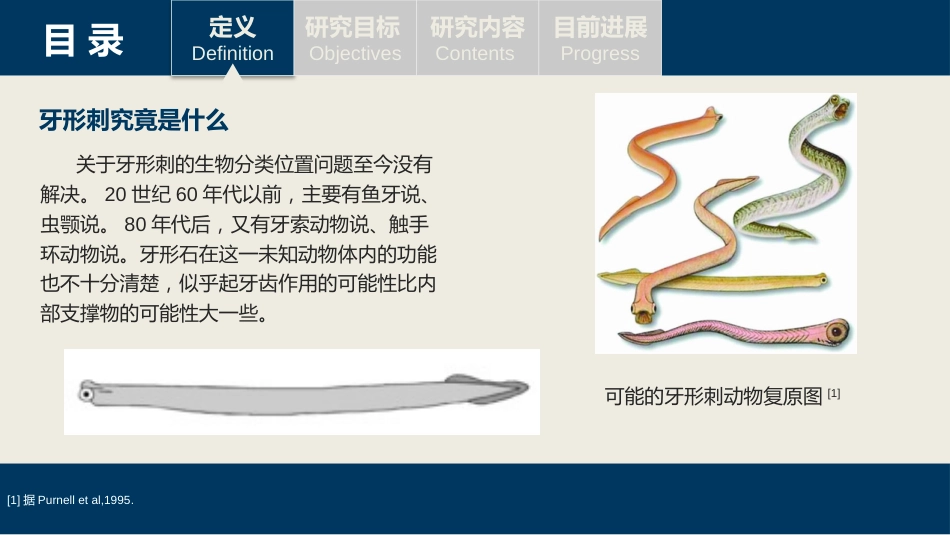 浅谈牙形刺研究的地质意义_第3页