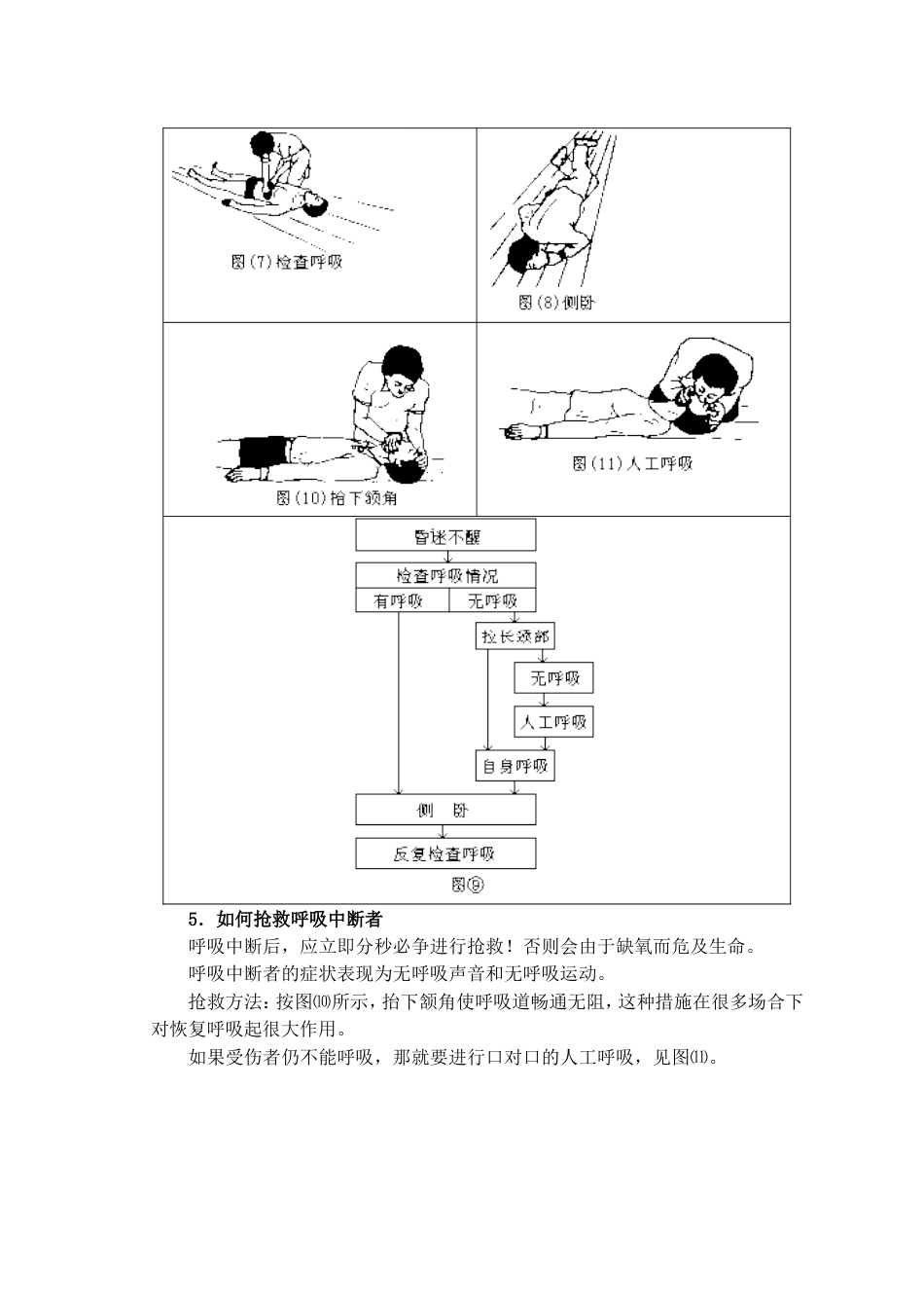 交通事故急救常识[共8页]_第3页