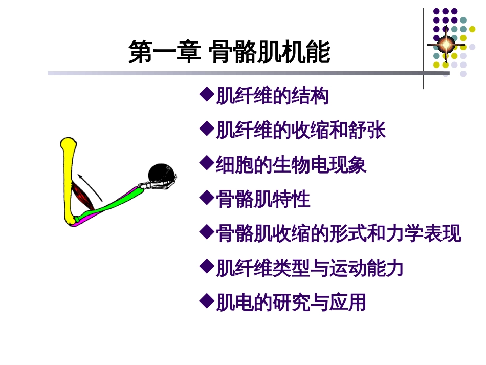 1骨骼肌机能[共86页]_第2页