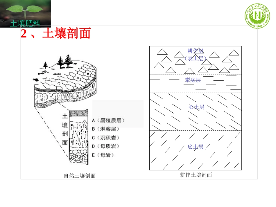 低产土壤改良与利用[共18页]_第3页