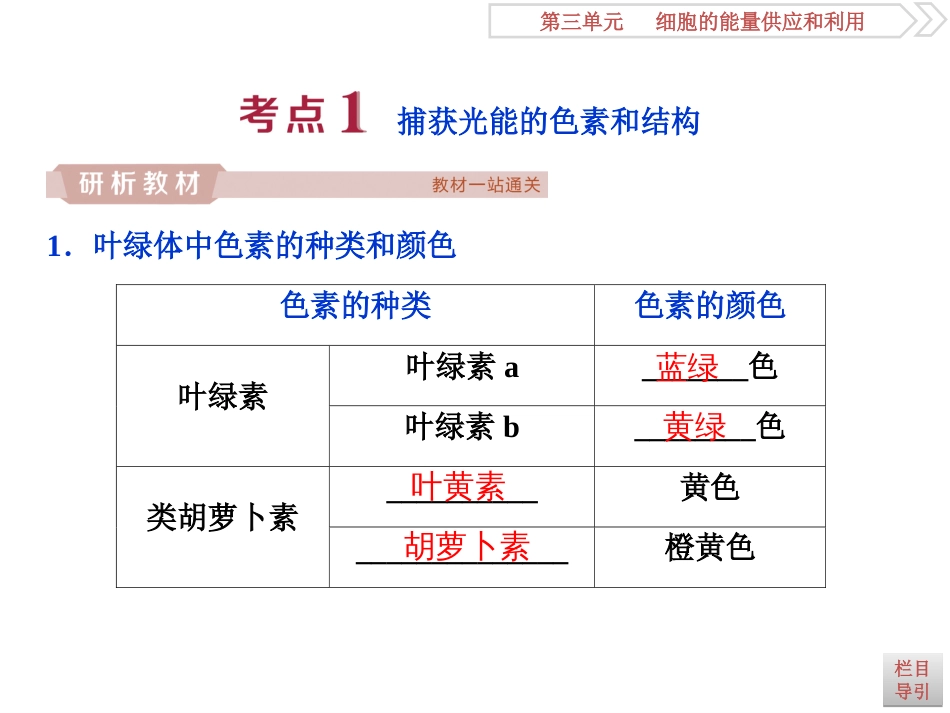 第10讲光合作用的探究历程与基本过程_第3页