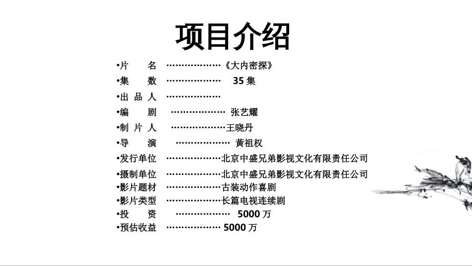 大内密探设计方案_第2页