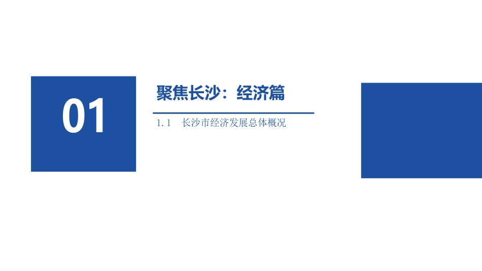 2023长沙产业全景分析报告_第3页