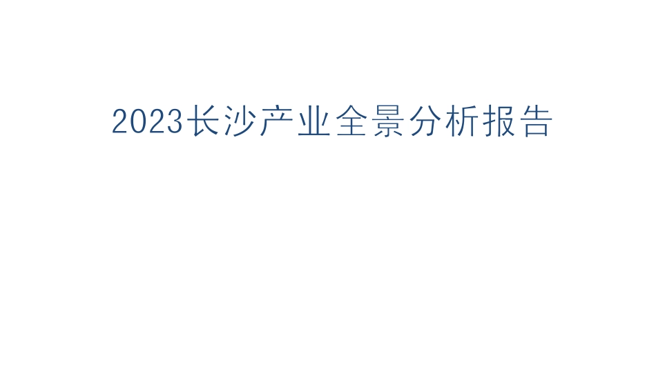 2023长沙产业全景分析报告文档_第1页