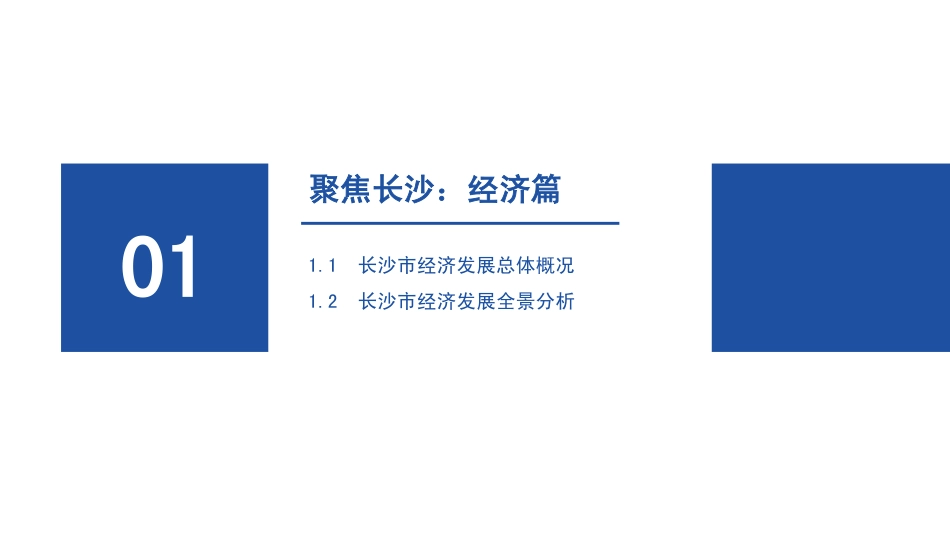 2023长沙产业全景分析报告文档_第3页