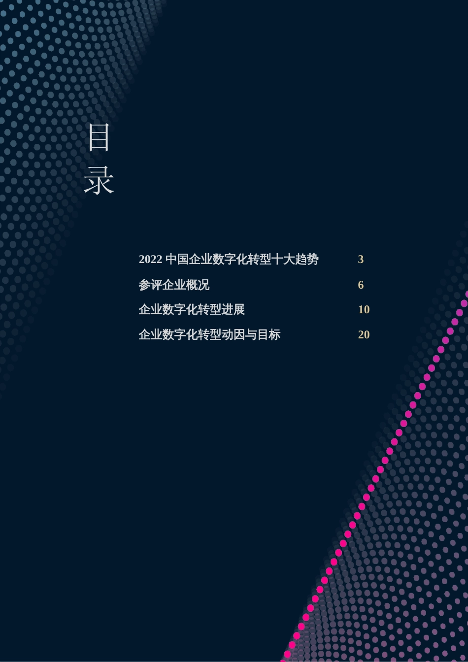 2020中国企业数字化转型研究报告_第2页