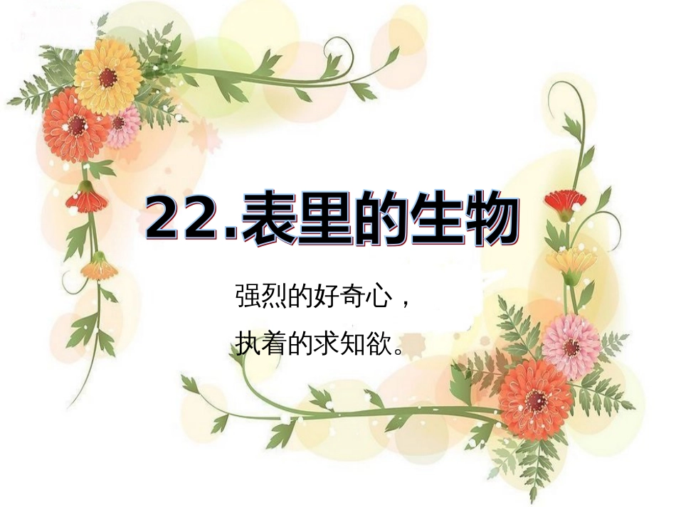 22《表里的生物》ppt课件[共29页]_第2页