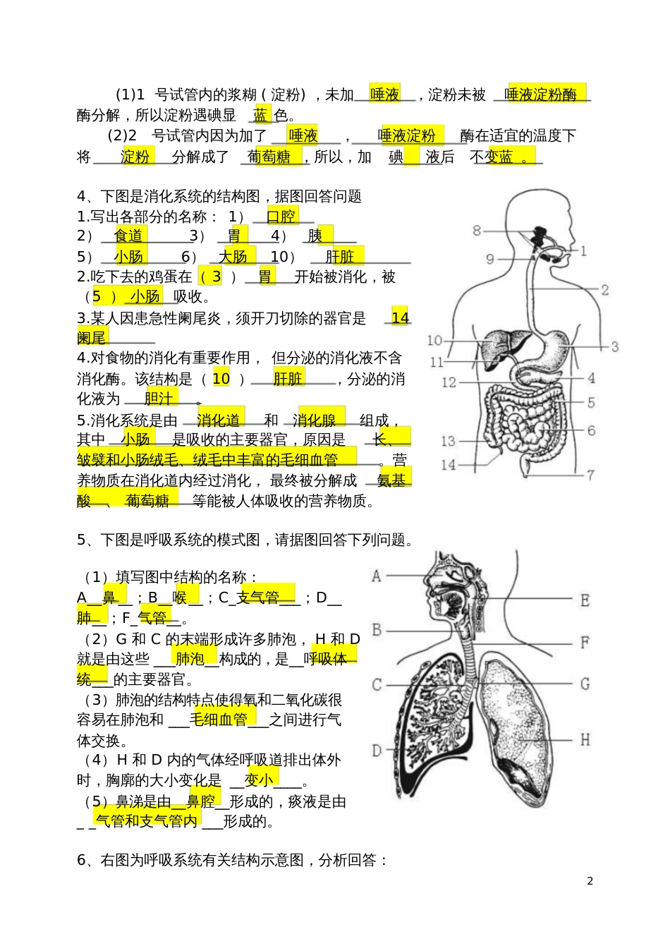 七年级下册生物识图题(答案)[共8页]_第2页