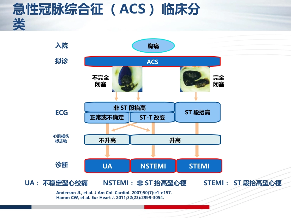 NSTEACS诊断标准和治疗原则解读[共45页]_第3页