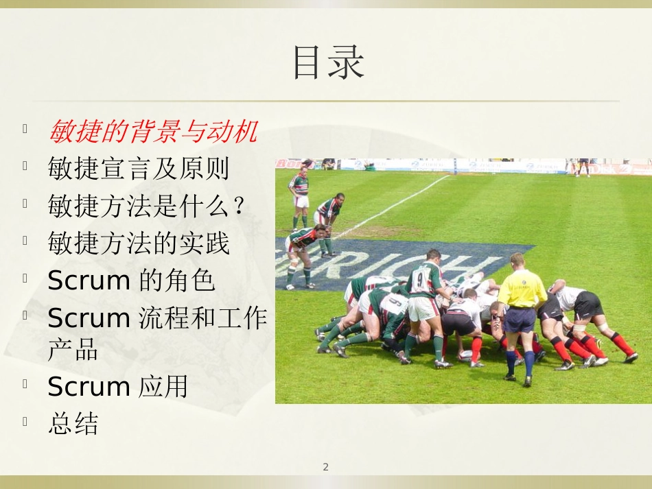 Scrum敏捷项目管理[共74页]_第2页