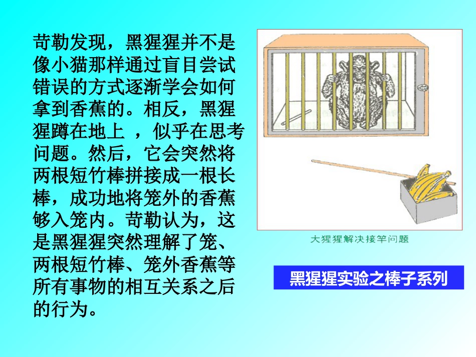 格式塔学习理论_第3页