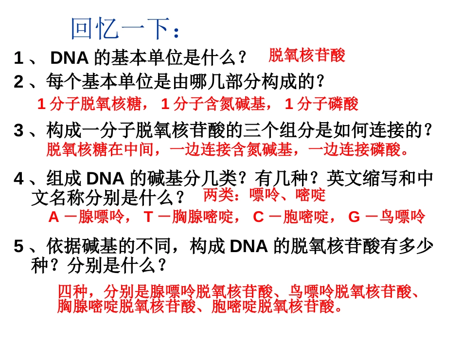 DNA分子的结构[共33页]_第2页