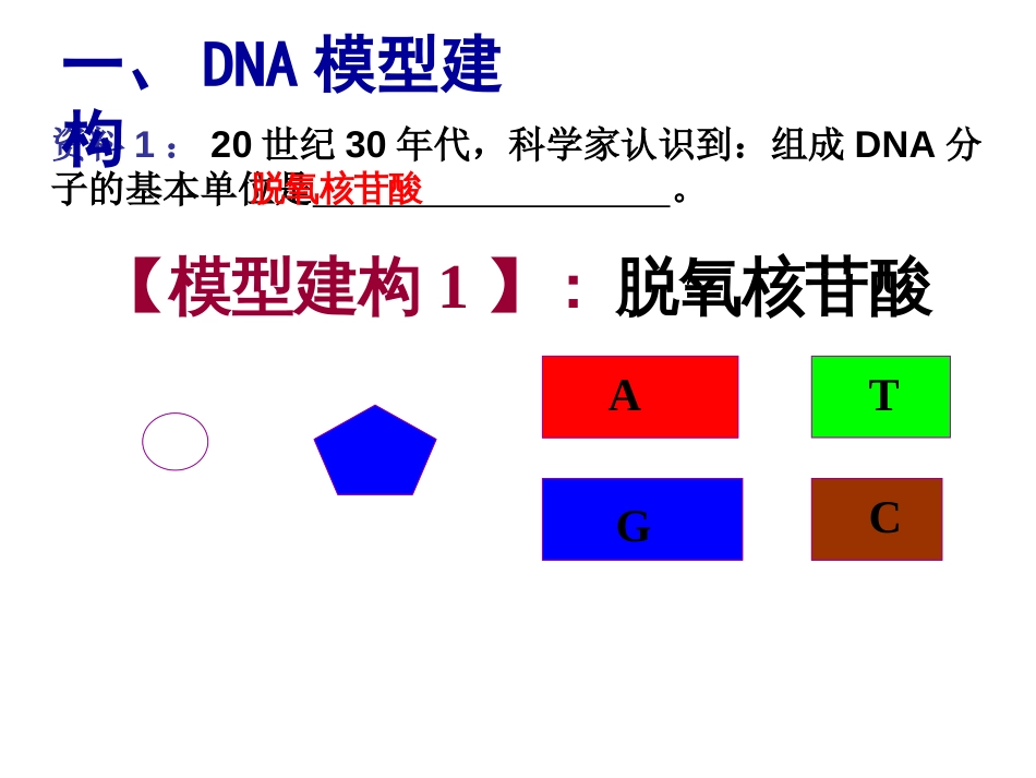 DNA分子的结构[共33页]_第3页