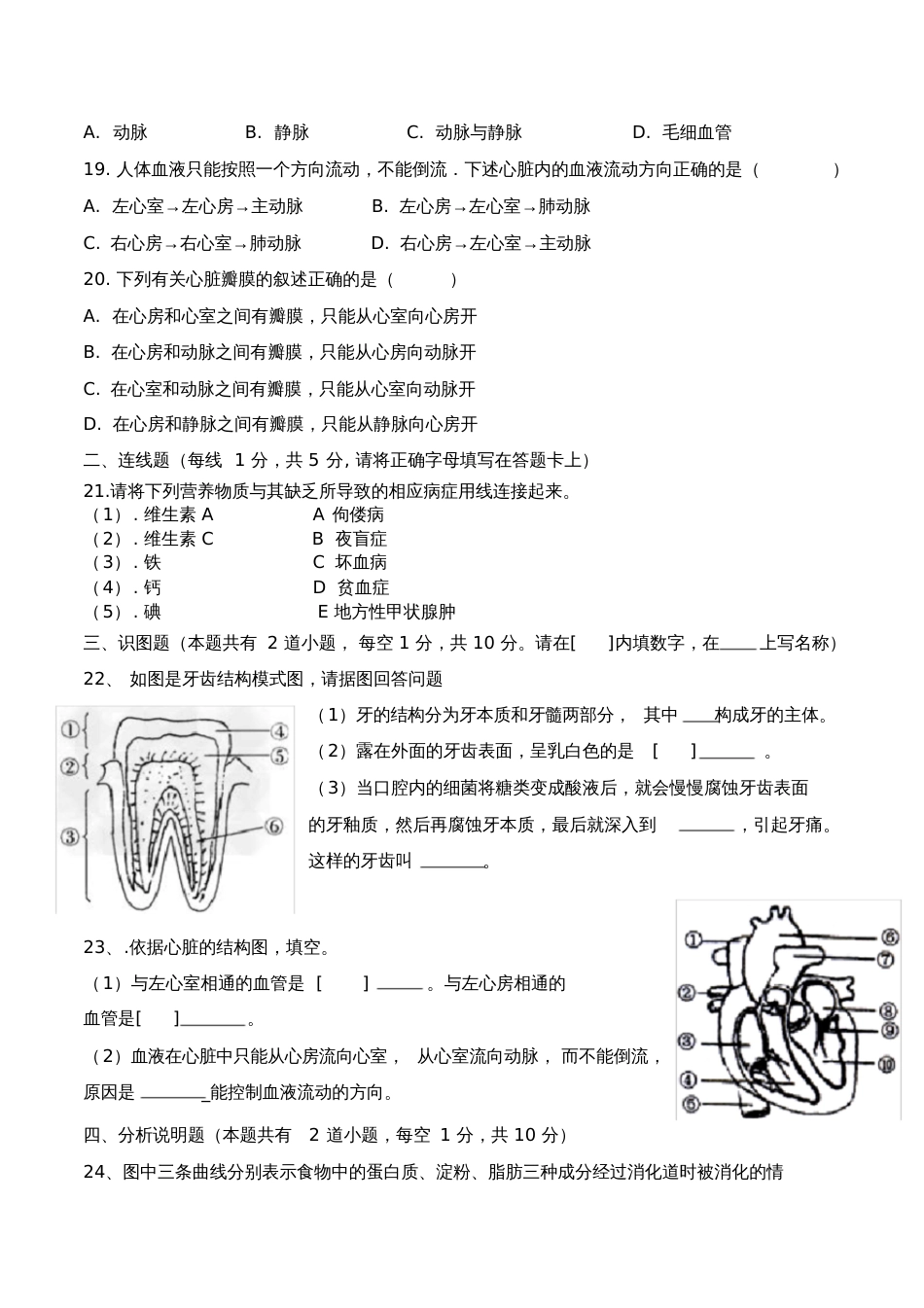 七年级下册生物阶段测试卷及答案苏教版[共5页]_第3页