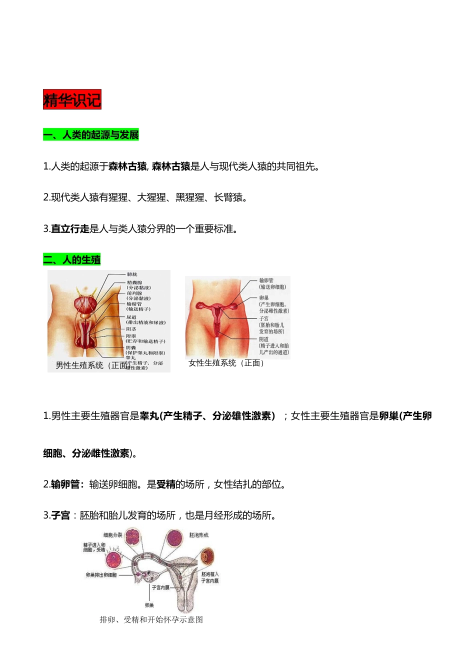 七年级下册生物每章思维导图精华知识_第2页