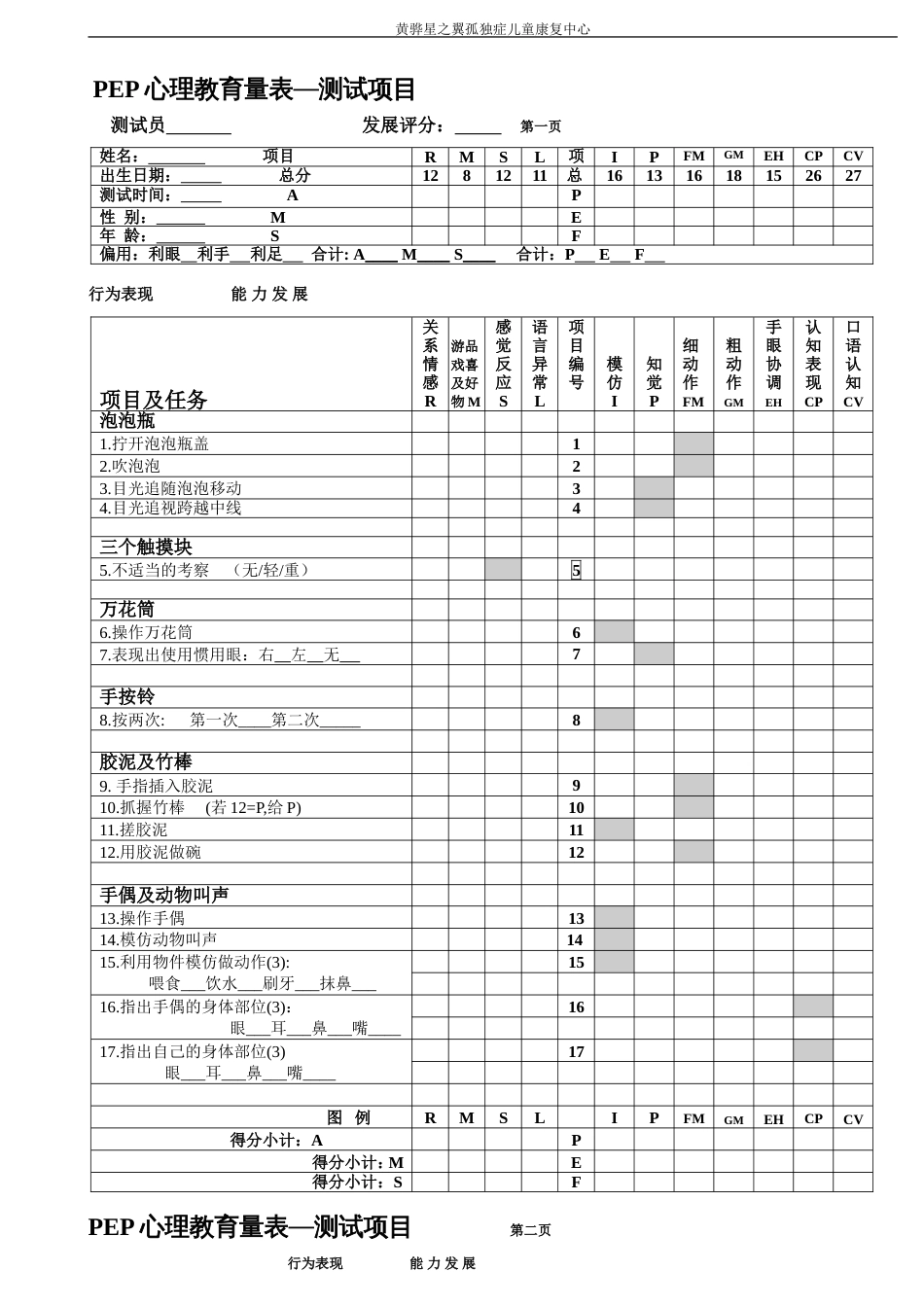 PEP3心理教育量表评估报告_第3页