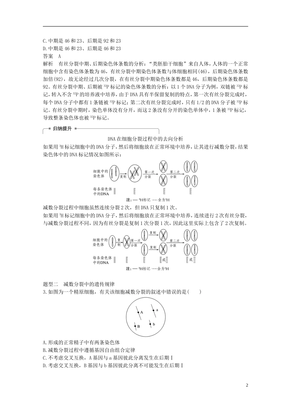 高考生物一轮总复习第三单元细胞的生命历程热点题型突破二细胞分裂与遗传变异的关系学案_第2页