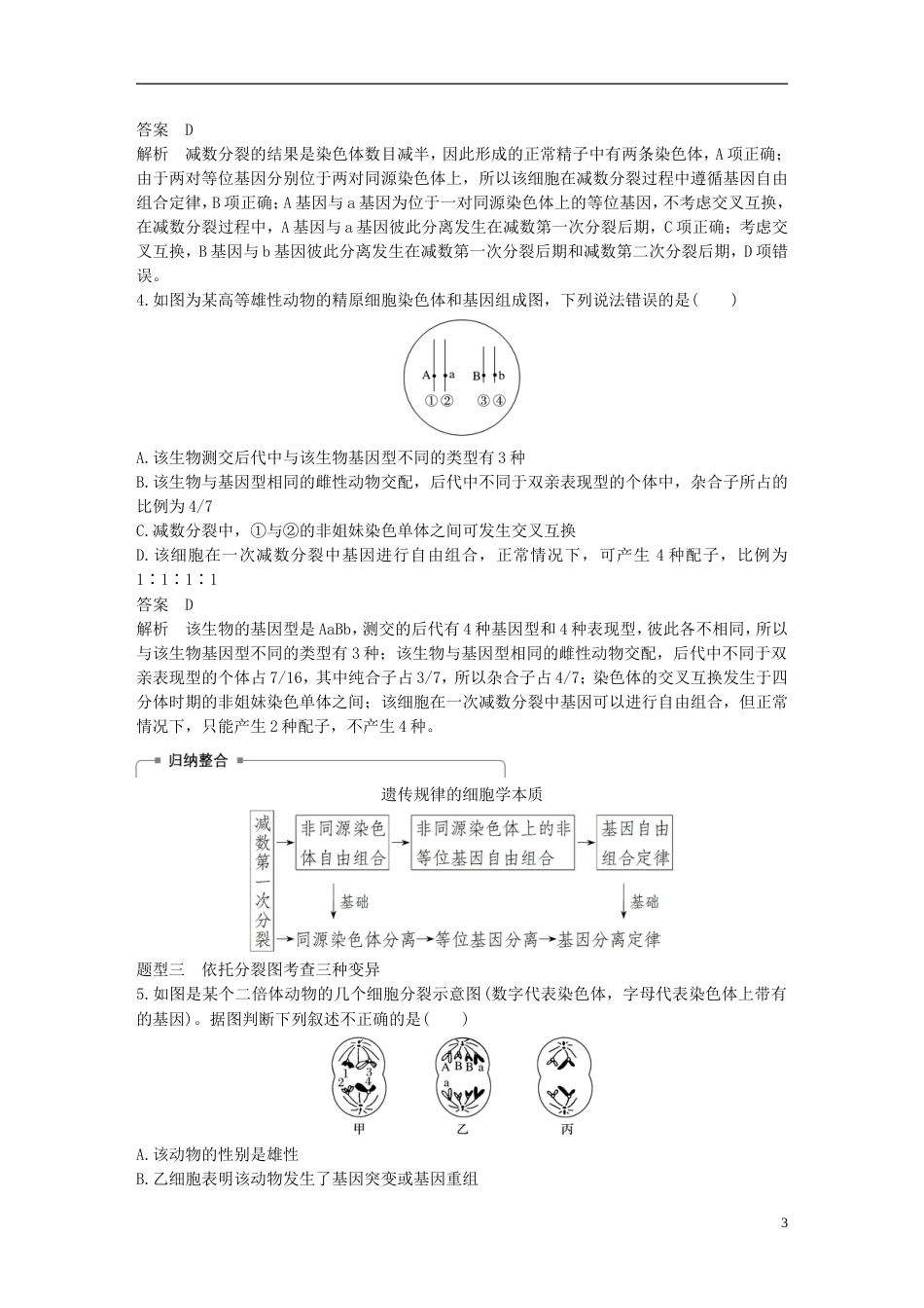 高考生物一轮总复习第三单元细胞的生命历程热点题型突破二细胞分裂与遗传变异的关系学案_第3页