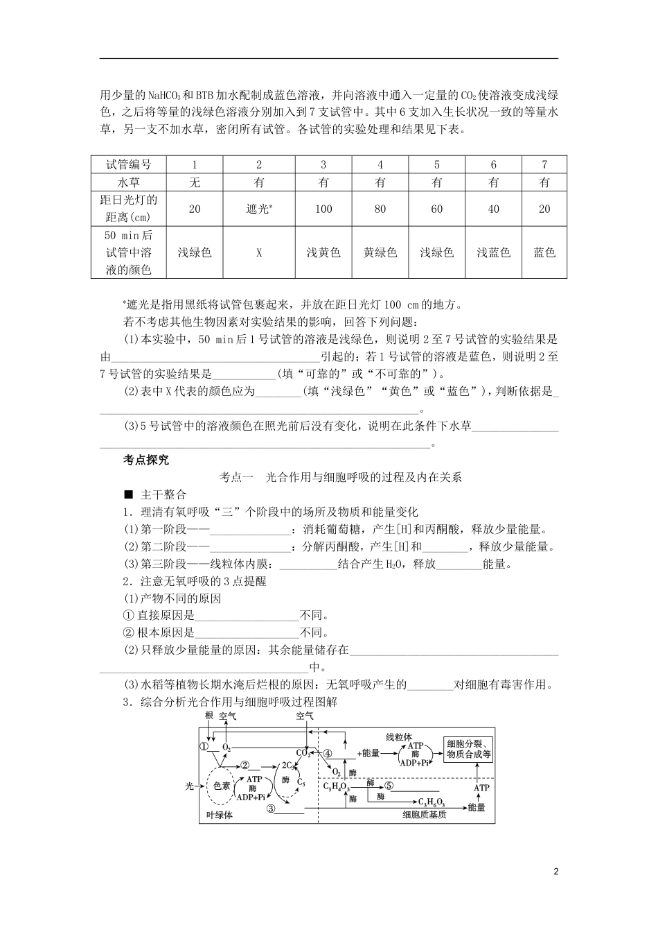 高考生物二轮复习专题光用与细胞呼吸导学案_第2页