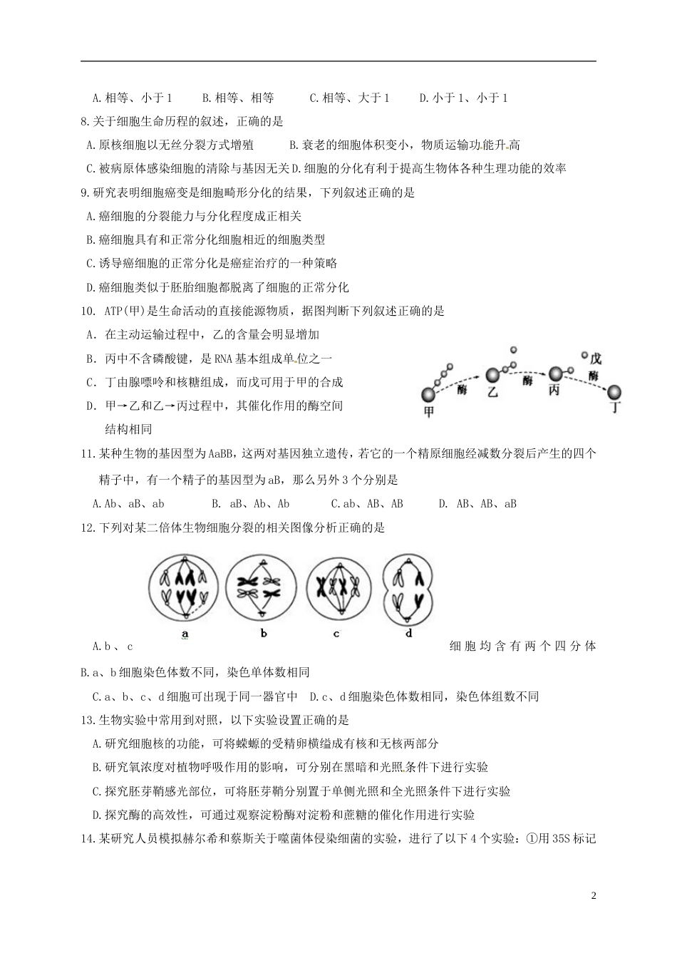 高考生物总复习综合练习选择题_第2页