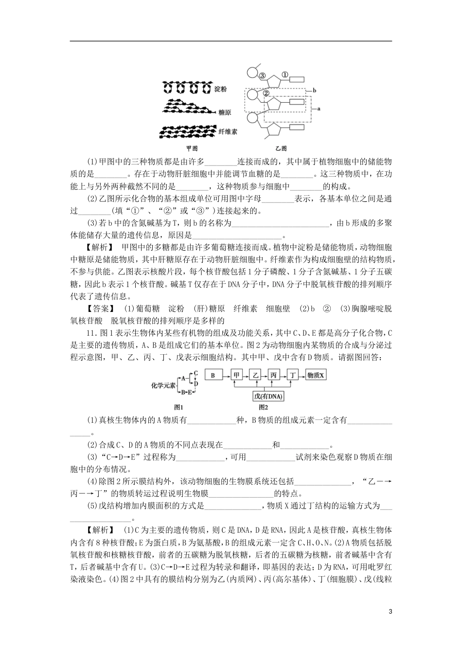 高考生物大一轮复习分层提能限时练细胞中的核酸糖类和脂质新人教_第3页