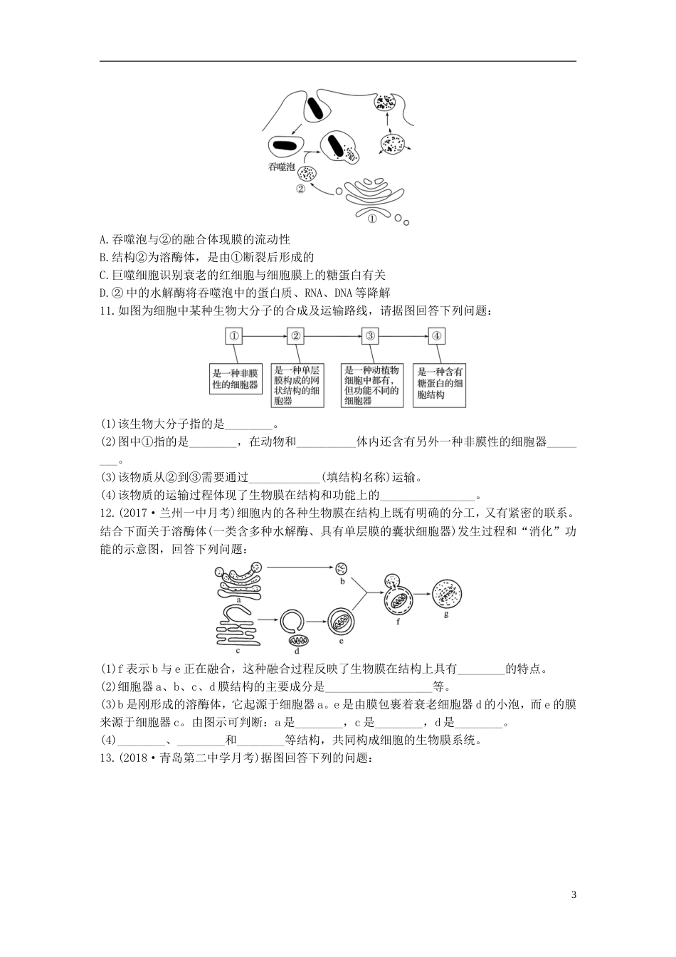 高考生物热点针对练第练利用灵活的形式突破生物膜之间的关系北师大_第3页