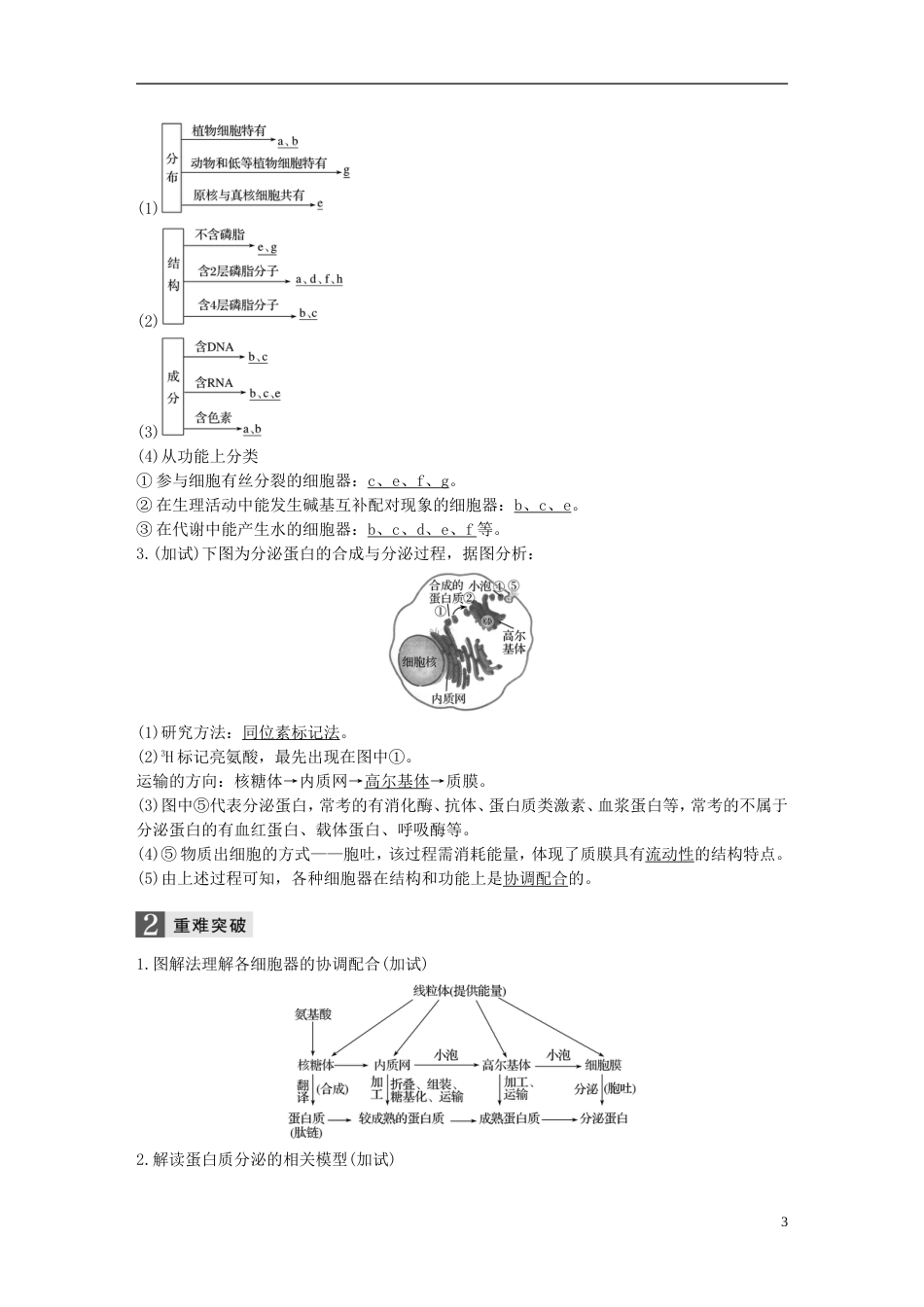 高考生物一轮总复习第一单元细胞的分子组成与结构第讲细胞质与细胞核学案_第3页