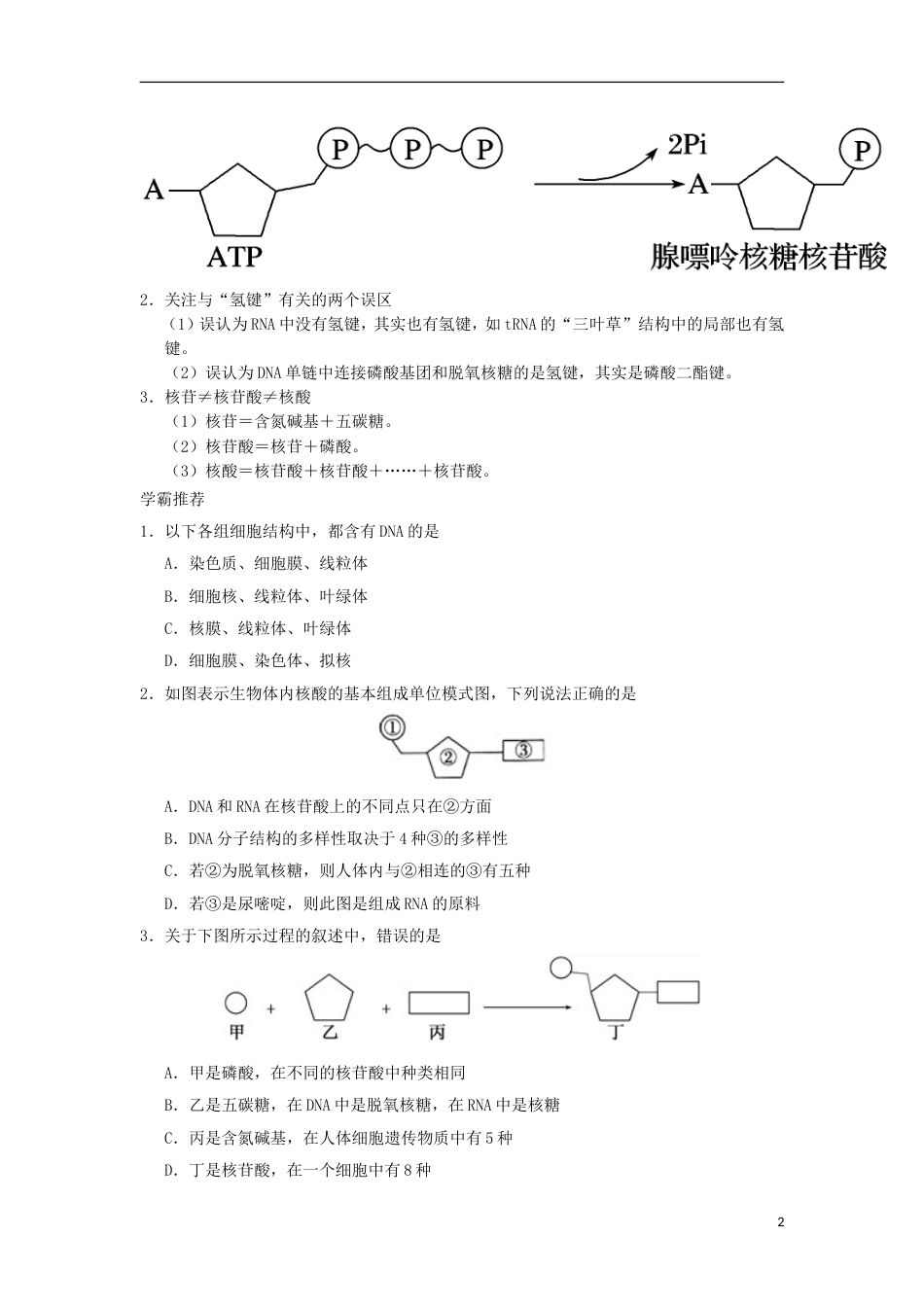 高考生物二轮复习每日一题核酸的结构和功能新人教_第2页