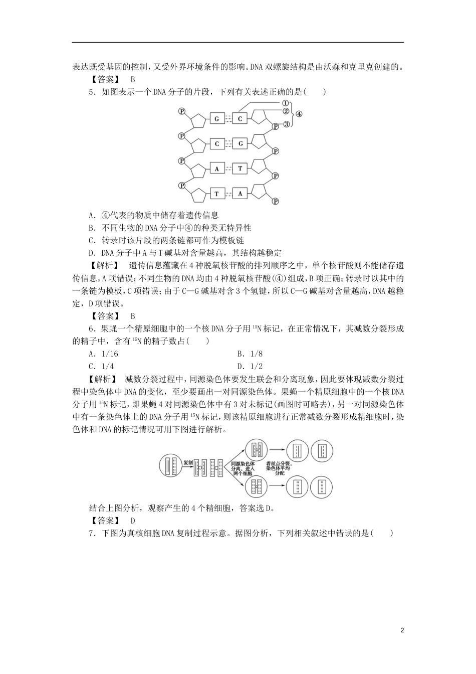 高考生物大一轮复习分层提能限时练DNA分子的结构复制与基因的本质新人教_第2页