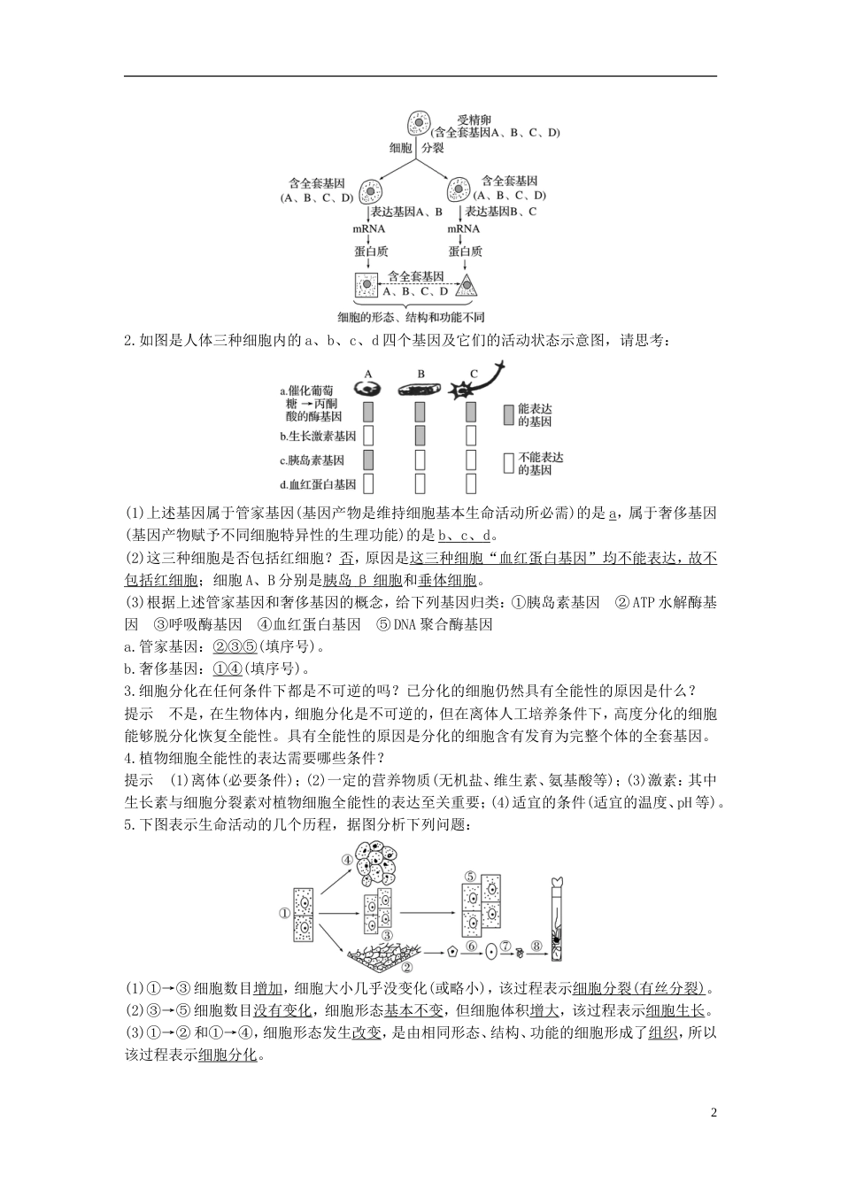 高考生物一轮总复习第三单元细胞的生命历程第讲细胞的分化衰老与凋亡学案_第2页