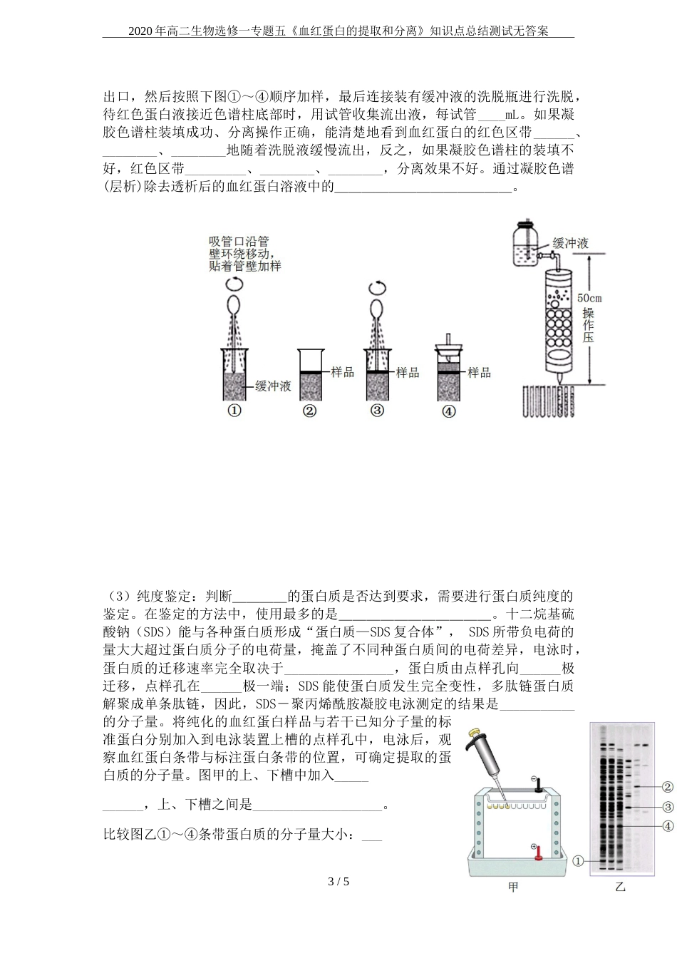 高二生物选修一专题五《血红蛋白的提取和分离》知识点总结测试无答案_第3页