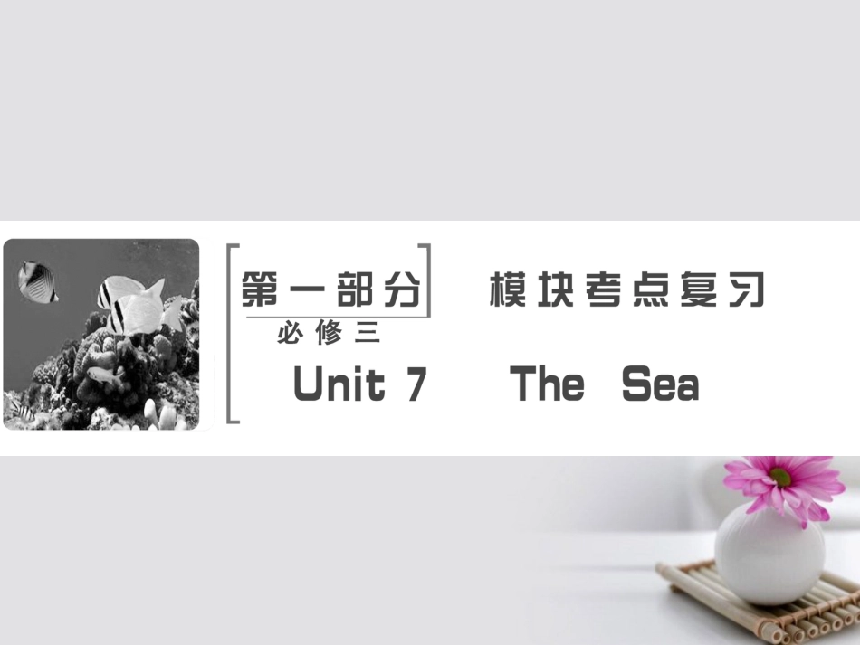 高考英语大一轮复习 第部分 模块考点复习 Unit  The Sea课件 北师大版必修_第2页