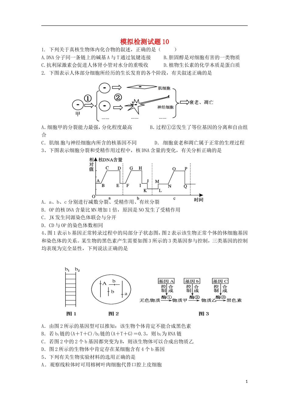 高考生物二轮复习模拟检测试题10_第1页