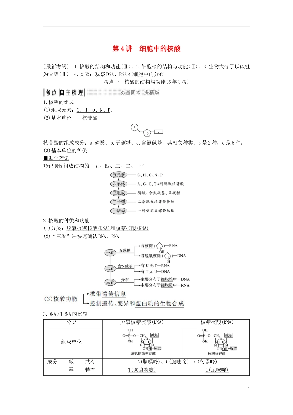 高考生物一轮复习第二单元细胞的自我保障第讲细胞中的核酸创新备考学案中图_第1页