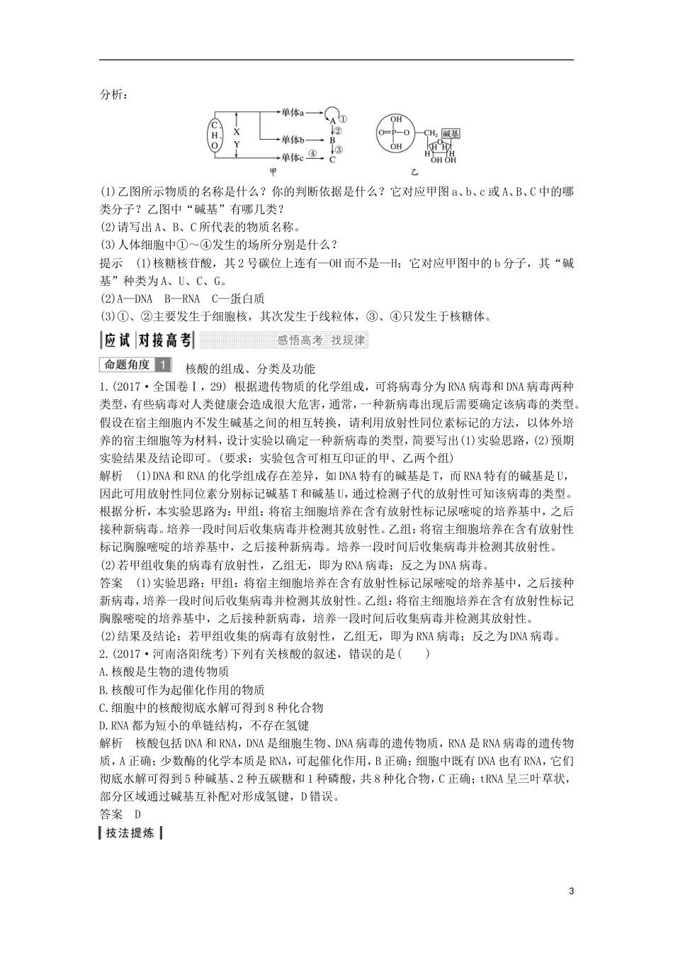 高考生物一轮复习第二单元细胞的自我保障第讲细胞中的核酸创新备考学案中图_第3页