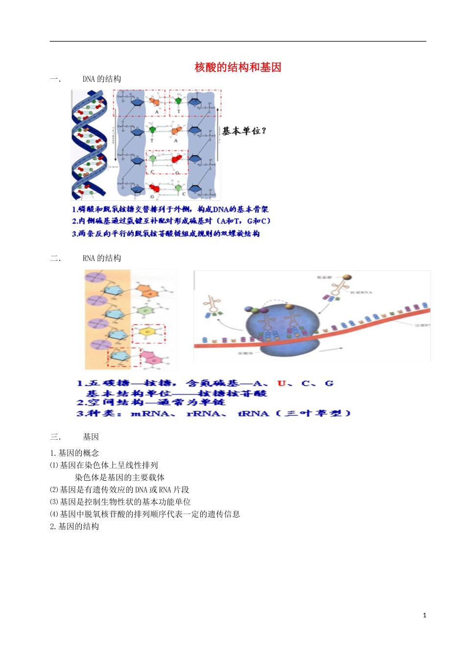 高考生物总复习遗传与进化——遗传的分子基础核酸的结构和基因学案_第1页