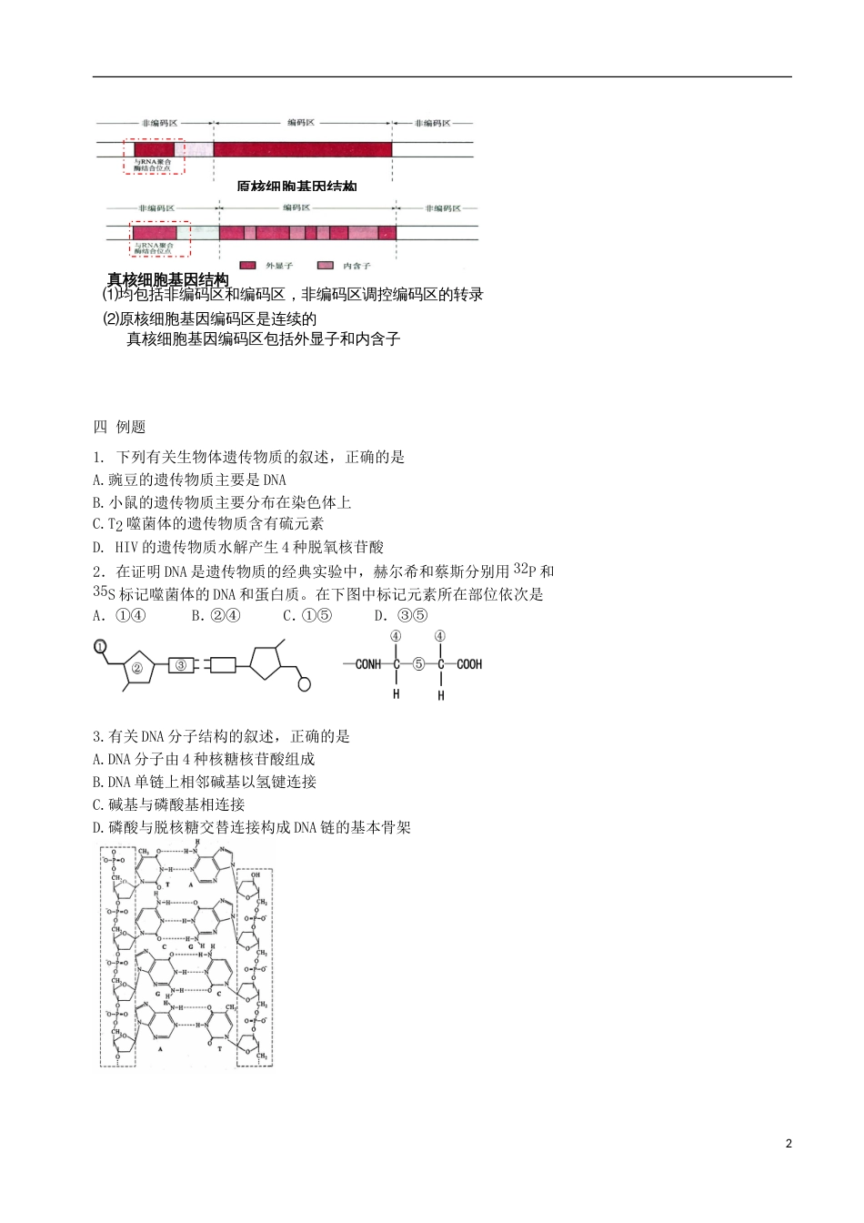 高考生物总复习遗传与进化——遗传的分子基础核酸的结构和基因学案_第2页