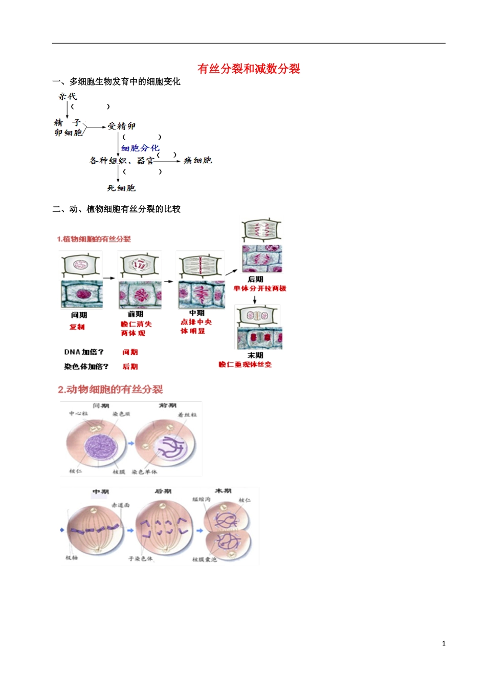 高考生物总复习遗传与进化——遗传的细胞学基础有丝分裂和减数分裂学案_第1页