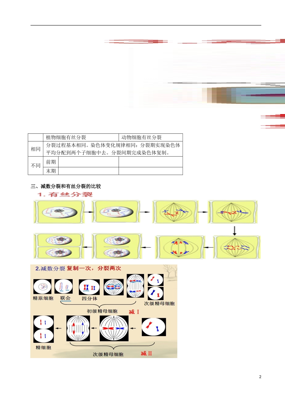 高考生物总复习遗传与进化——遗传的细胞学基础有丝分裂和减数分裂学案_第2页