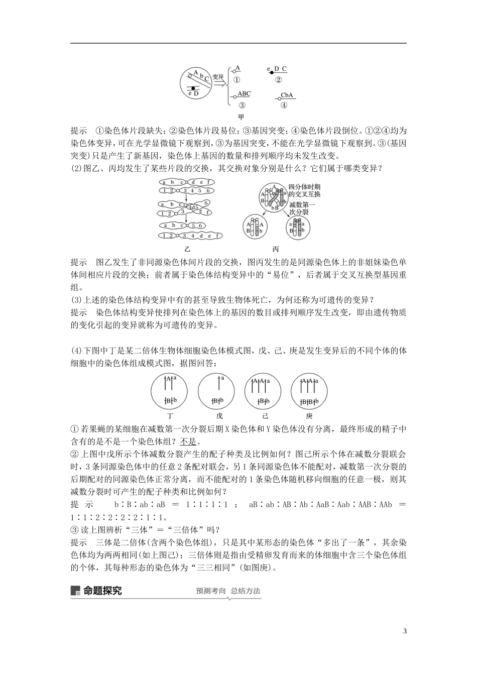 高考生物一轮复习第七单元生物的变异育种和进化第讲染色体变异及其应用备考一体学案苏教_第3页